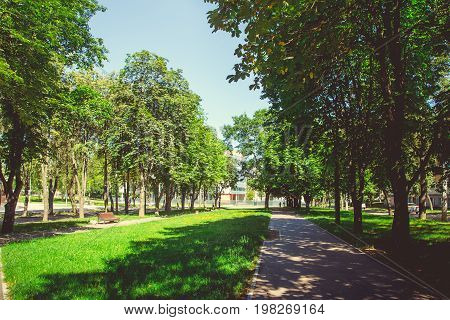 A deserted boulevard in the center of the city in bright sunny summer weather