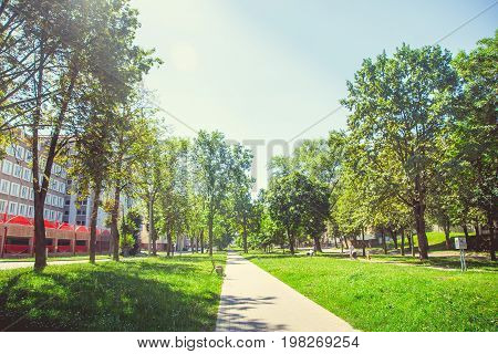 A deserted boulevard in the center of the city in bright sunny summer weather