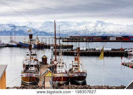Traditional Whale Watching Boats Lying In The Harbor Of Husavik , Northern Coast Of Iceland