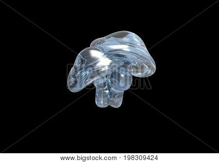 Rendered image of 3D translucent (glass/water) mushrooms isolated on a black background done in a slightly psychedelic manner
