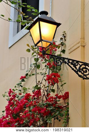 Lamp post attached to building with Bouganvilla flowers growing around it