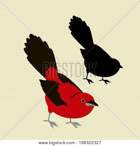 tanager bird vector illustration flat style silhouette