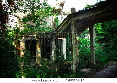 Overgrown ruins of abandoned mansion, Abkhazia. Green post-apocalyptic concept