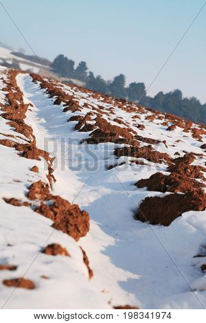 Tielted image of an agricultural field covered by snow in winter