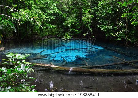 Sa Morakot, Krabi province, Thailand - October 2014: The Emerald pool, blue lagoon