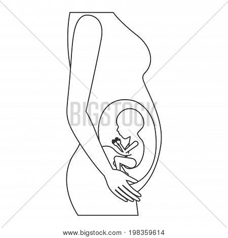sketch silhouette of side view pregnancy process in female body fetus human growth semestrer vector illustration