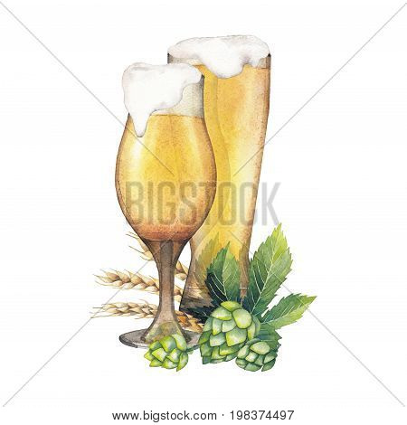 Two watercolor glasses of pale beer decorated with malts and hops. Hand painted alcoholic beverages isolated on white background