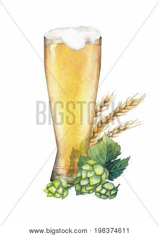 One watercolor glass of pale beer decorated with malts and hops. Hand painted alcoholic beverages isolated on white background