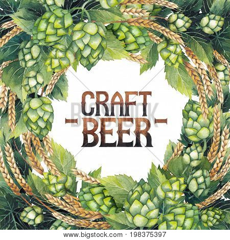 Vintage card made of hops and malts isolated on white background. Hand painted watercolor design