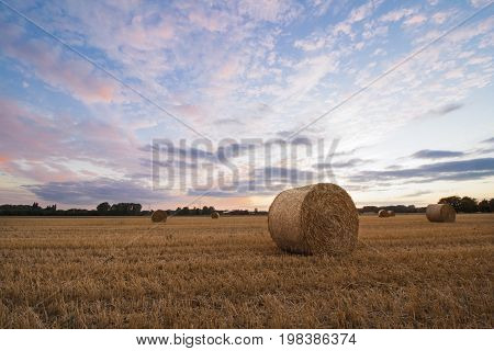 Straw bales after harvest at sunset time