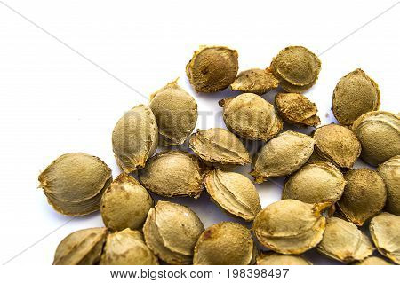 Apricot kernels on white ground, pictures of apricot kernels used in medicine and pill making,
