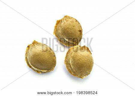 Apricot kernels on white ground, pictures of apricot kernels used in medicine and pill making,