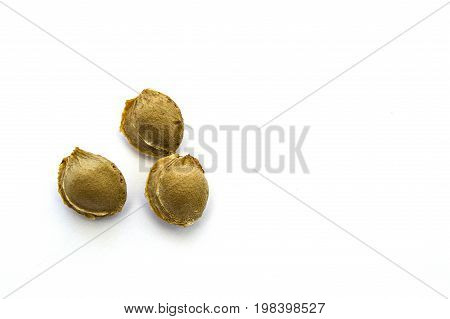 Apricot kernels on white ground, pictures of apricot kernels used in medicine and pill making,