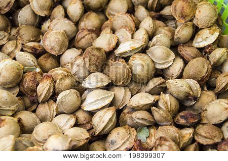 Apricot kernels on white ground, pictures of apricot kernels used in medicine and pill making,