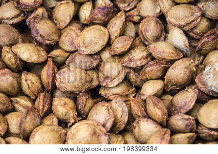 Apricot kernels on white ground, pictures of apricot kernels used in medicine and pill making,