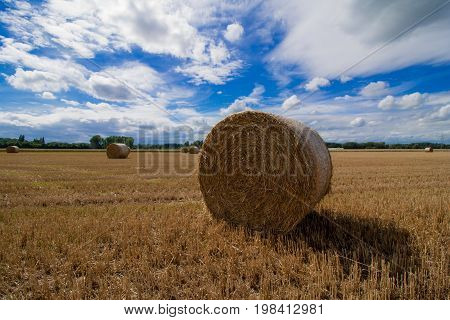 Straw bales are standing in the sun after the harvest in late summer