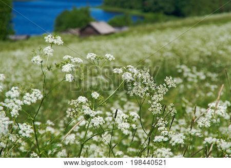 North Russian Village