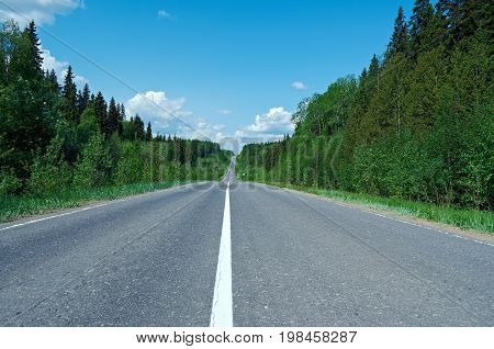 road in Russian forest.  Arhangelsk region russia  travel