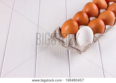 Container of ten eggs. Nine eggs brown one egg white. on white background.