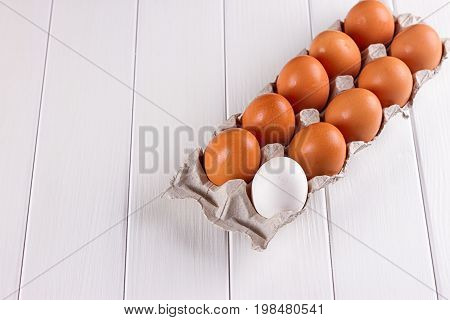 Container of ten eggs. Nine eggs brown one egg white. on white background.