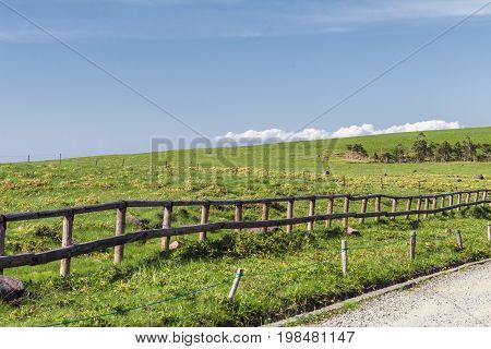 Beautiful landscape mountain view of Utsukushigahara is one of the most important and popular natural place in Nagano Japan.