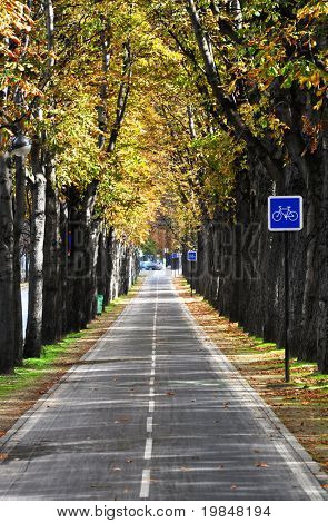 Ciclovia parisiense no Outono