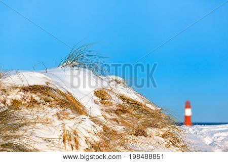 Dune grass covered by snow at winter day, blue sky and distant lighthouse, Warnemünde, Germany (copy space)