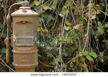 An old pump valve rusts amid ivy vines