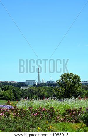Washington, D.C. skyline with floral garden in foreground.