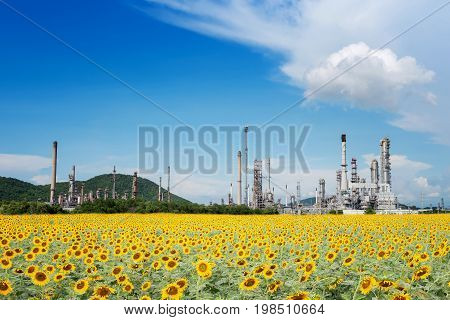 Oil Refinery factory in the morning petrochemical plant Petroleum.