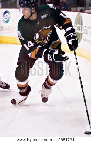 PHOENIX, AZ - 18 grudnia: Utah Grizzlies do przodu Tom maja (#14) przygotowuje się do przekazania krążek podczas