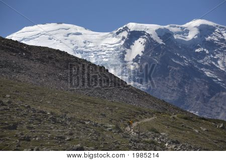 เดินป่าขึ้นภูเขา Rainier