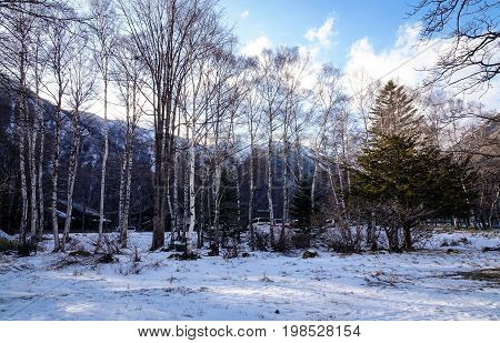 Mountain Scenery In Nikko, Japan