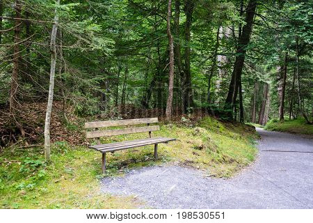 wood bench in forest near caumasee in switzerland