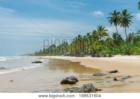 Amazing Green Nature At The Itacarezinho Beach