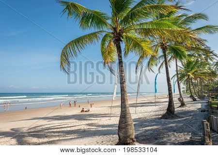 Impressive Paradise Beach At The Itacare Bahia Brazil