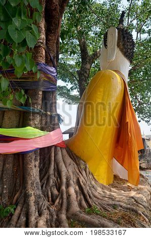 Buddha Statue In Root Tree At Pakse