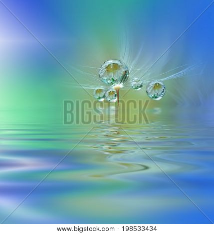 Beautiful flowers reflected in the water, spa concept.Tranquil abstract closeup art photography.Floral fantasy design.Spa still life.Amazing Background.