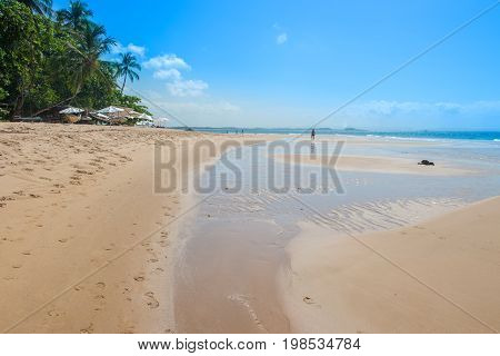 Water Forms And Landscape By The Itacare Beach