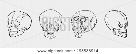 Hand drawn black and white skulls set. Stencil or engraved style.