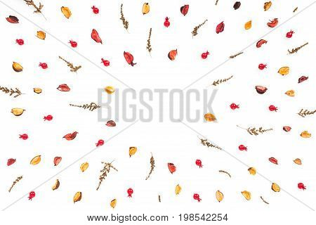 Dried Autumn Flowers On White Background. Autumn Frame. Flat Lay, Top View, Copy Space