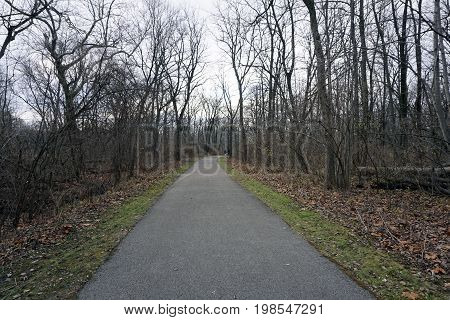 Hikers may walk on a paved trail in the Hammel Woods Forest Preserve in Shorewood, Illinois, during December.