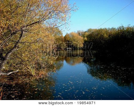 Escena de otoño junto al lago.