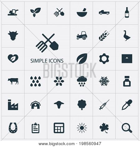 Elements Wood, Syringe, Pesticide And Other Synonyms Industry, Medicament And Information.  Vector Illustration Set Of Simple Agriculture Icons.