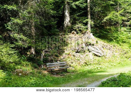 wood bench in forest near caumasee in switzerland