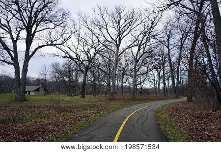 Hikers may walk on a paved trail in the Hammel Woods Forest Preserve in Shorewood, Illinois, during December.
