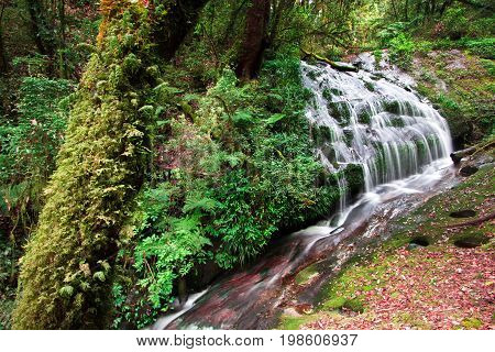 Larn Sa Dej Waterfall