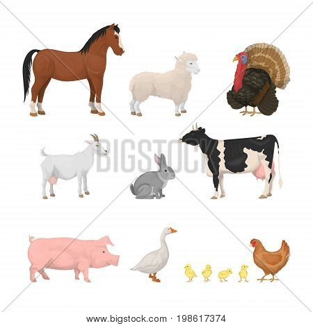 Farm animals set. Isolated animals like horse, chicken and pig on white background.