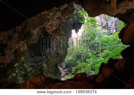 Vegetation And Nature In Phraya Nakhon Cave. Thailand