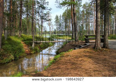 Forest lake and narrow creek in Hossa national park Finland